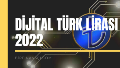 Dijital Türk Lirası 2022’de Bizimle!, Bir Finansçı