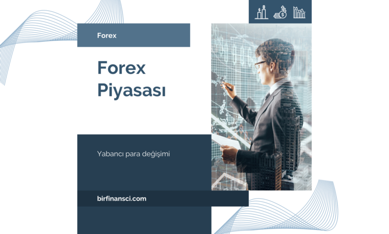 Forex Piyasası Hakkında Bilmeniz Gerekenler, Bir Finansçı