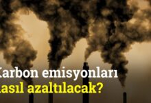 Türkiye Karbon Emisyonlarını Nasıl Azaltacak?