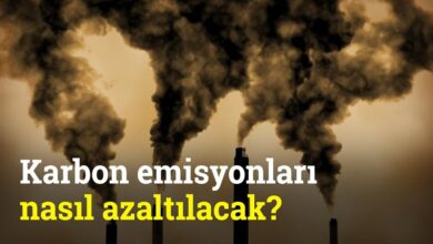Türkiye Karbon Emisyonlarını Nasıl Azaltacak?, Bir Finansçı