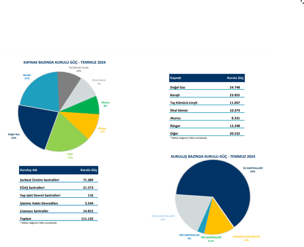 elektrik kurulu guc temmuz 2024
