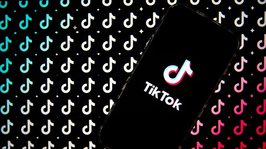 TikTok'un o ülkedeki ticari faaliyetlerine yasak